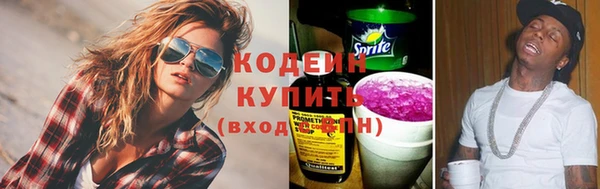 гидра Бородино