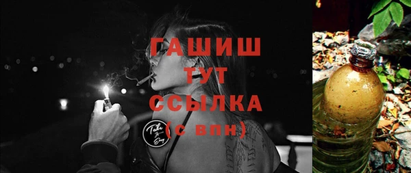 гидра Тайга