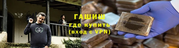 гидра Тайга