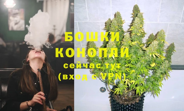 твердый Богородицк