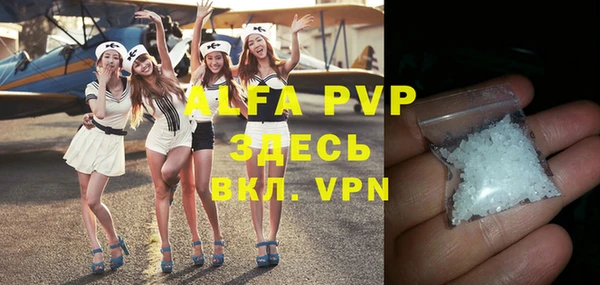 сатива Сясьстрой