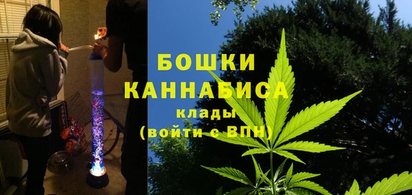 гидра Бородино