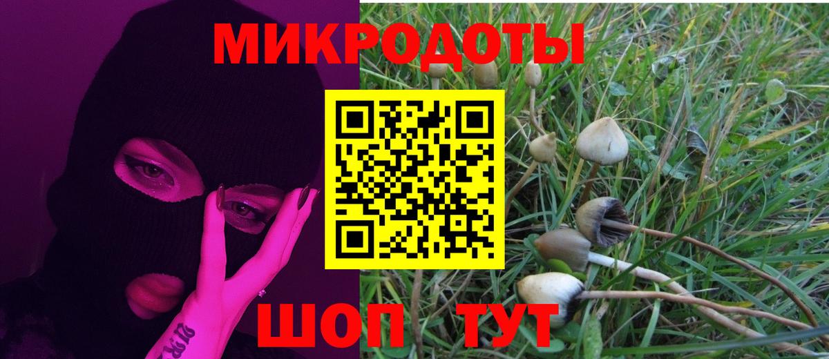 Псилоцибиновые грибы Psilocybine cubensis Свободный