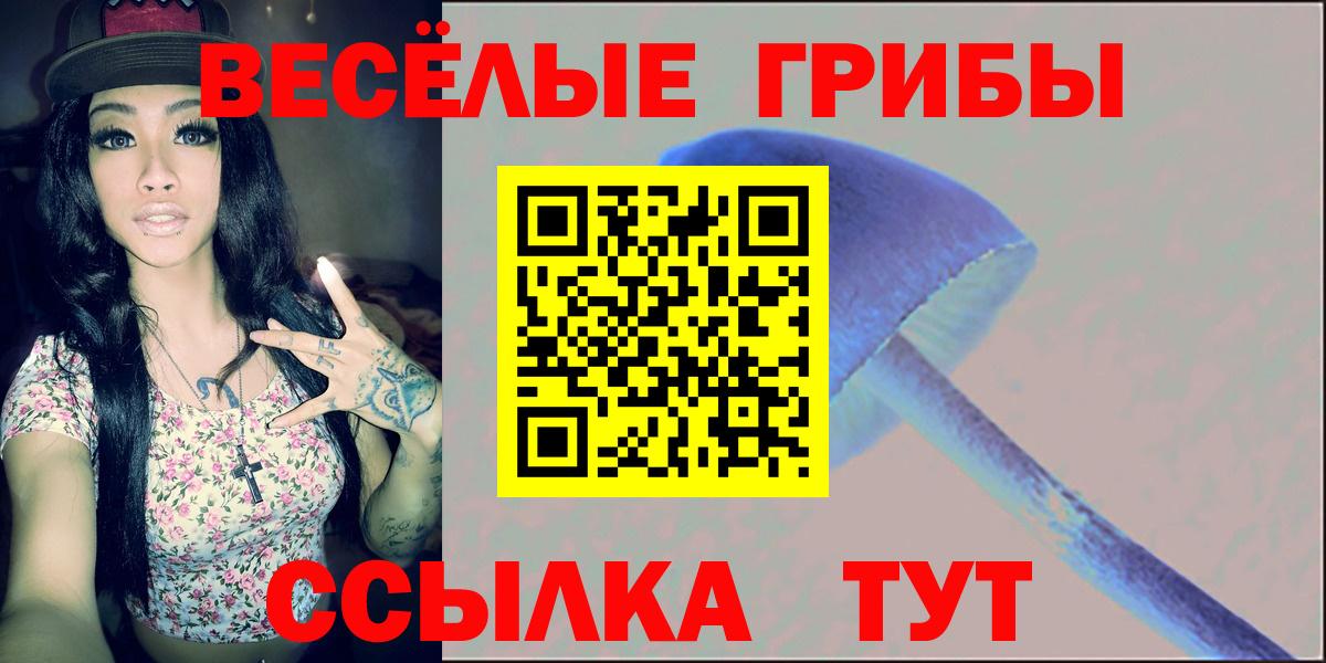 Свободный  Галлюциногенные грибы Cubensis  Вход с VPN  Псилоцибиновые грибы Psilocybine cubensis 