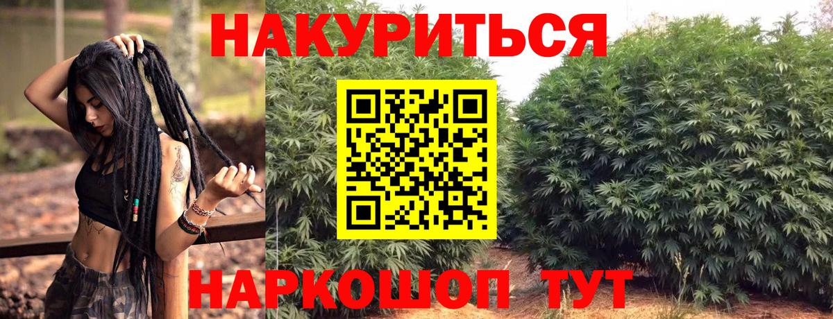 Конопля Bruce Banner Свободный